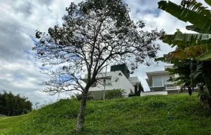 Terreno com 0 quartos em Estreito, Florianópolis