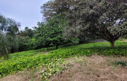 Terreno com 0 quartos em Coqueiros, Florianópolis