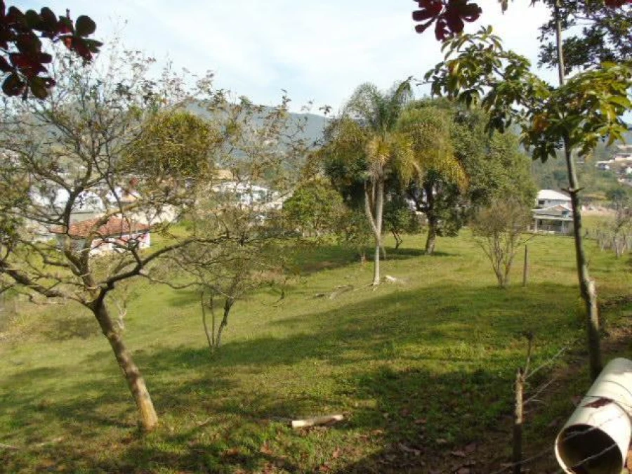 Terreno em Aririu, Palhoça. 0 quartos, 16216m². Imagem 6 de 7