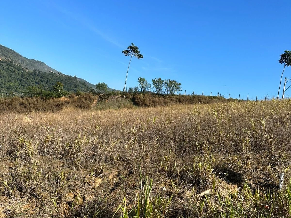 Terreno em Alto Aririu, Palhoça. 0 quartos, 361950m². Imagem 2 de 4
