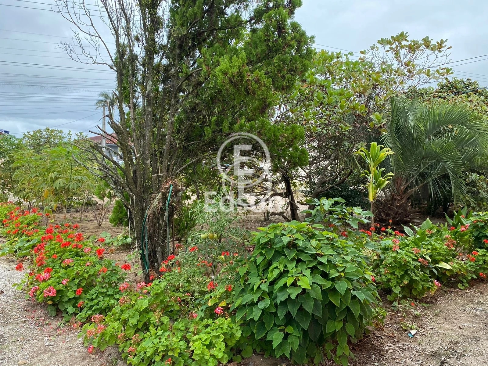 Terreno em Barra do Aririú, Palhoça. 0 quartos, 10540m². Imagem 7 de 8