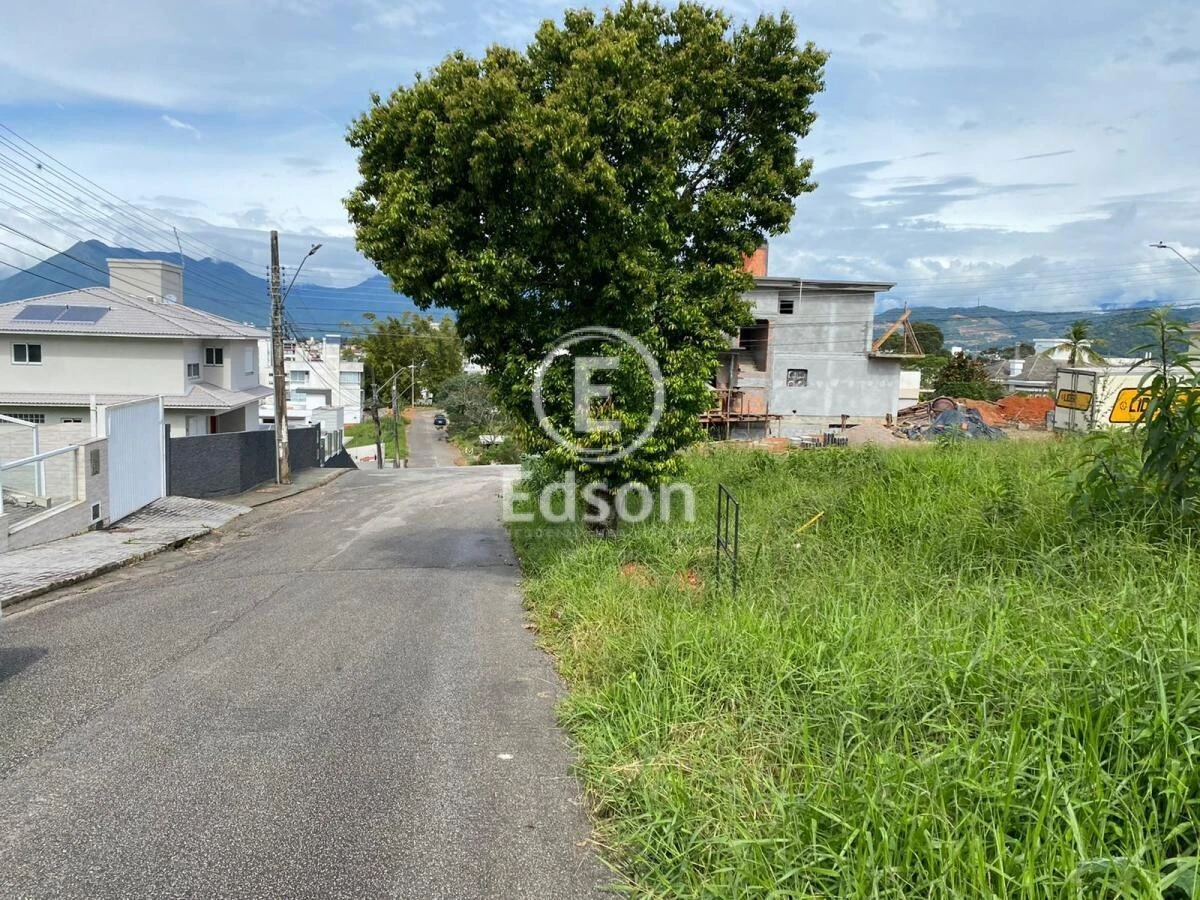 Terreno em Pedra Branca, Palhoça. 0 quartos, 438m². Imagem 2 de 4