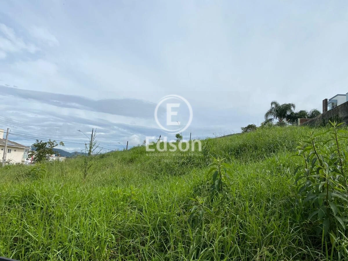 Terreno em Pedra Branca, Palhoça. 0 quartos, 438m². Imagem 3 de 4