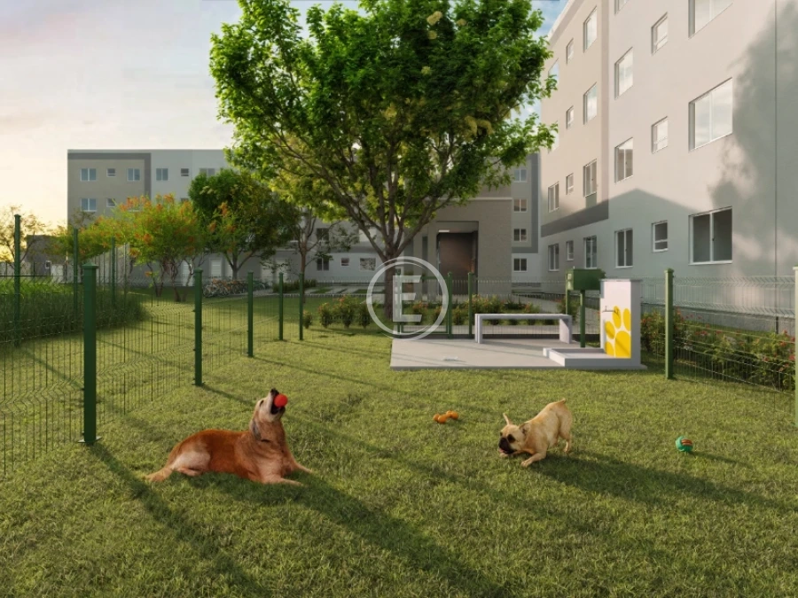 Apartamento em Bela Vista, Palhoça. 2 quartos, 40m². Imagem 8 de 11