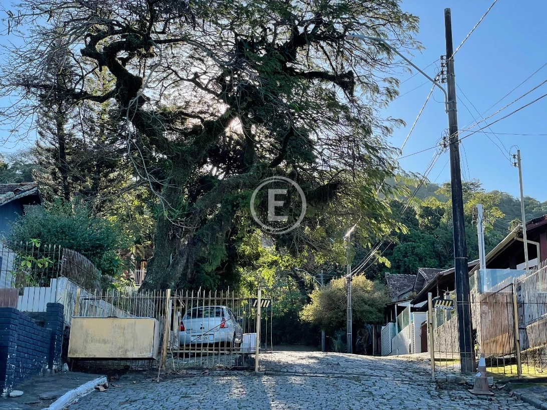 Terreno em Ponta de Baixo, São José. 0 quartos, 0m². Imagem 3 de 11