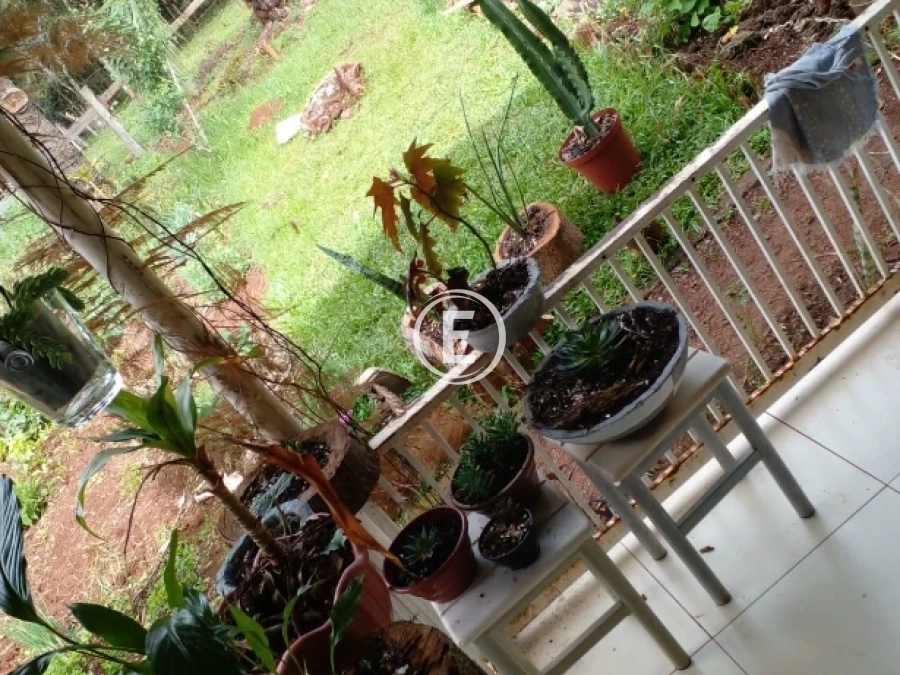 Sítio em , Campo Belo do Sul. 0 quartos, 205m². Imagem 9 de 10