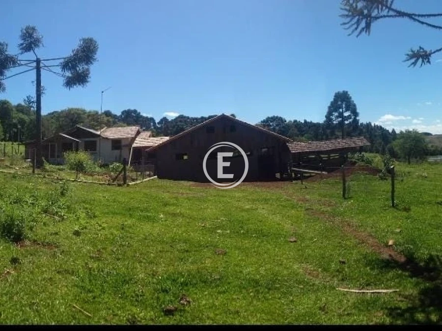 Sítio em , Campo Belo do Sul. 0 quartos, 205m². Imagem 5 de 10