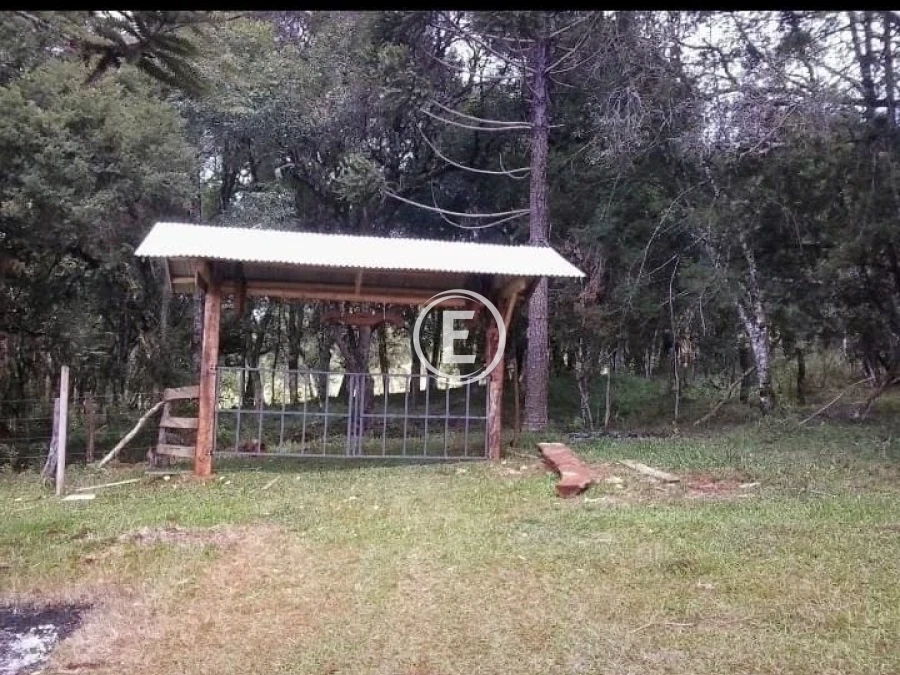 Sítio em , Campo Belo do Sul. 0 quartos, 205m². Imagem 4 de 10