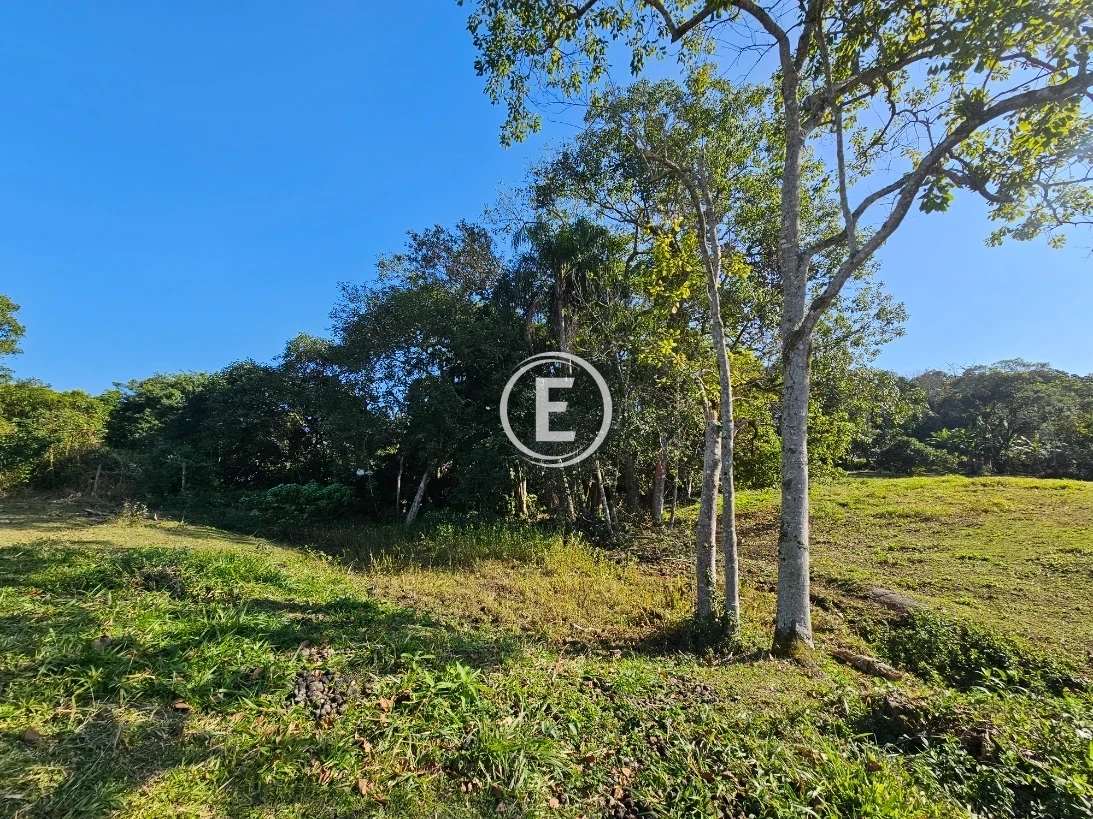 Terreno em Pedra Branca, Palhoça. 0 quartos, 0m². Imagem 8 de 23
