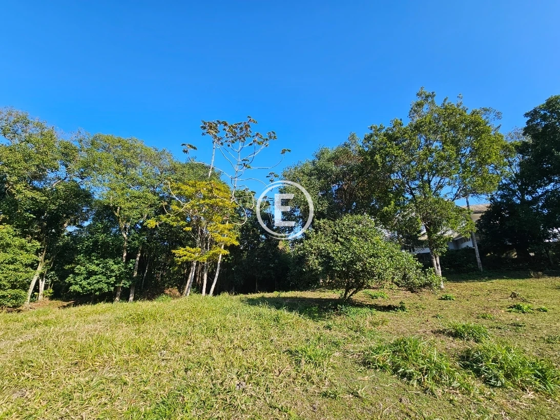 Terreno em Pedra Branca, Palhoça. 0 quartos, 0m². Imagem 11 de 23