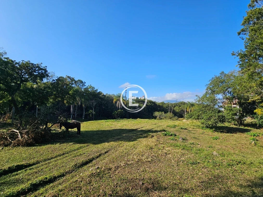 Terreno em Pedra Branca, Palhoça. 0 quartos, 0m². Imagem 14 de 23
