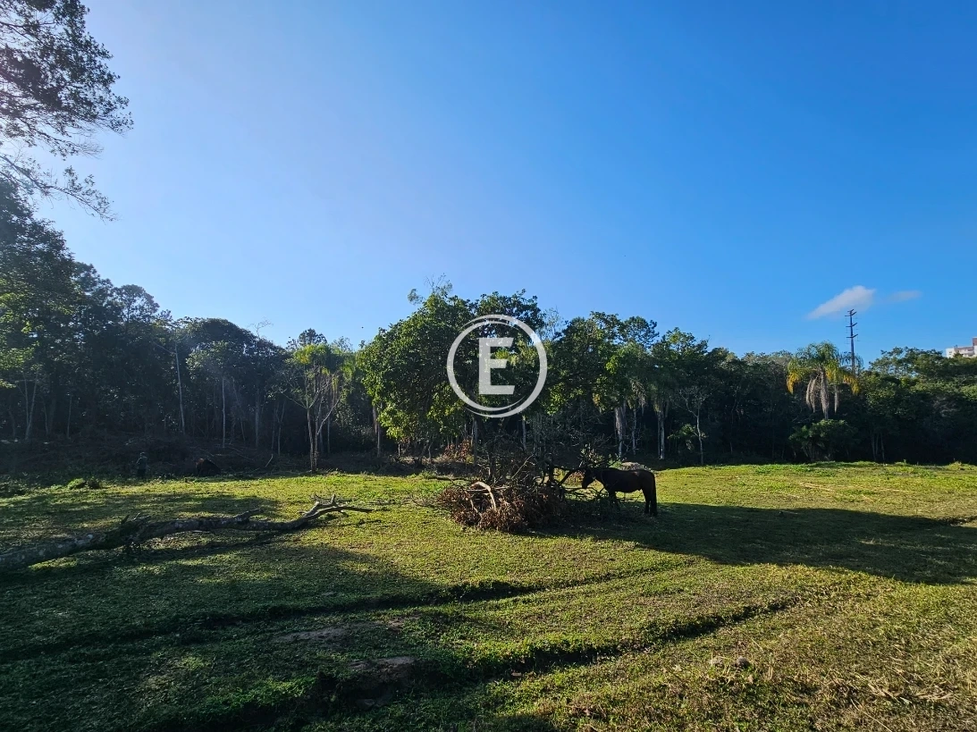 Terreno em Pedra Branca, Palhoça. 0 quartos, 0m². Imagem 15 de 23