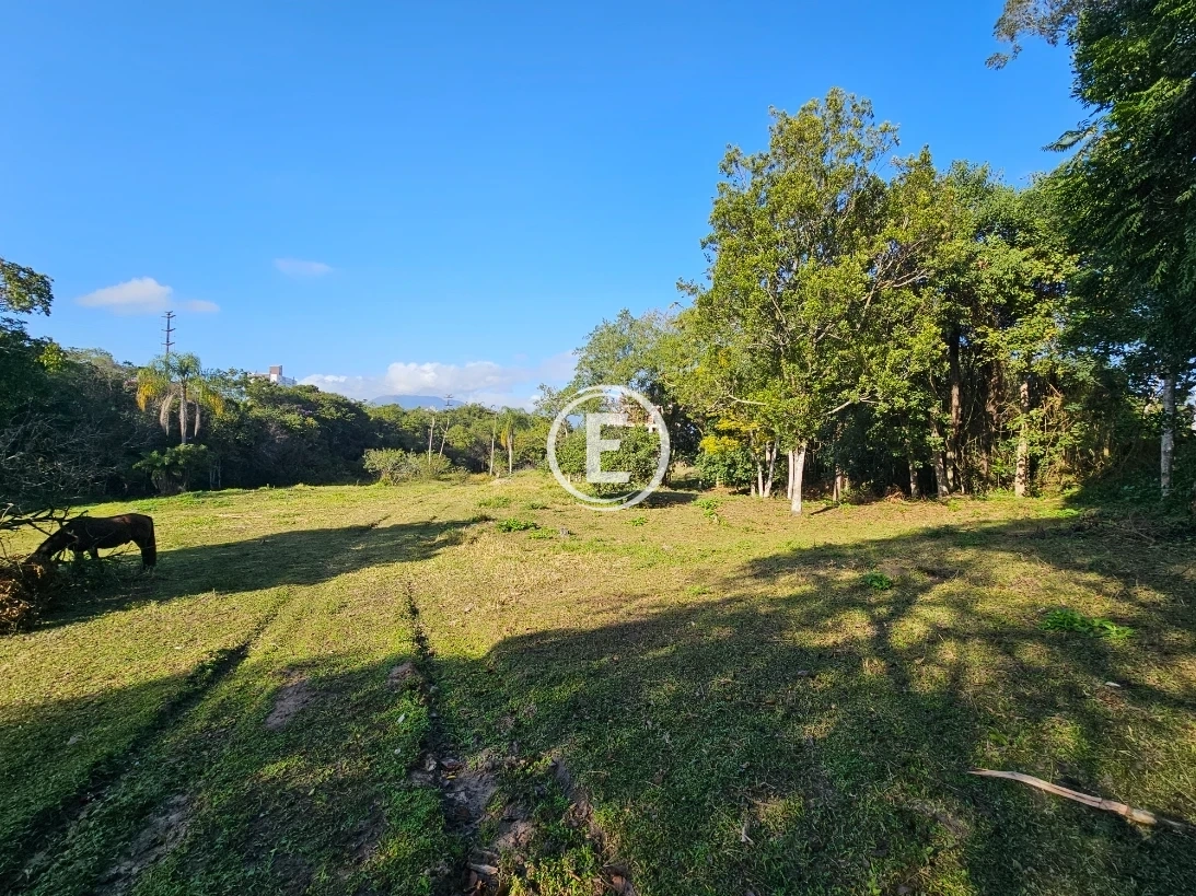 Terreno em Pedra Branca, Palhoça. 0 quartos, 0m². Imagem 16 de 23