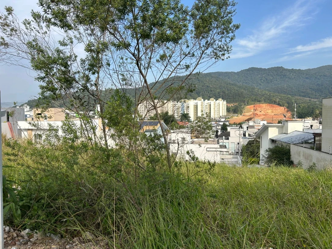 Terreno em Pedra Branca, Palhoça. 0 quartos, 0m². Imagem 2 de 2
