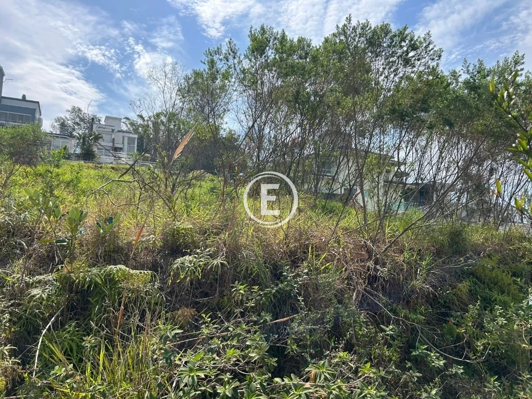 Terreno em Pedra Branca, Palhoça. 0 quartos, 0m². Imagem 2 de 5