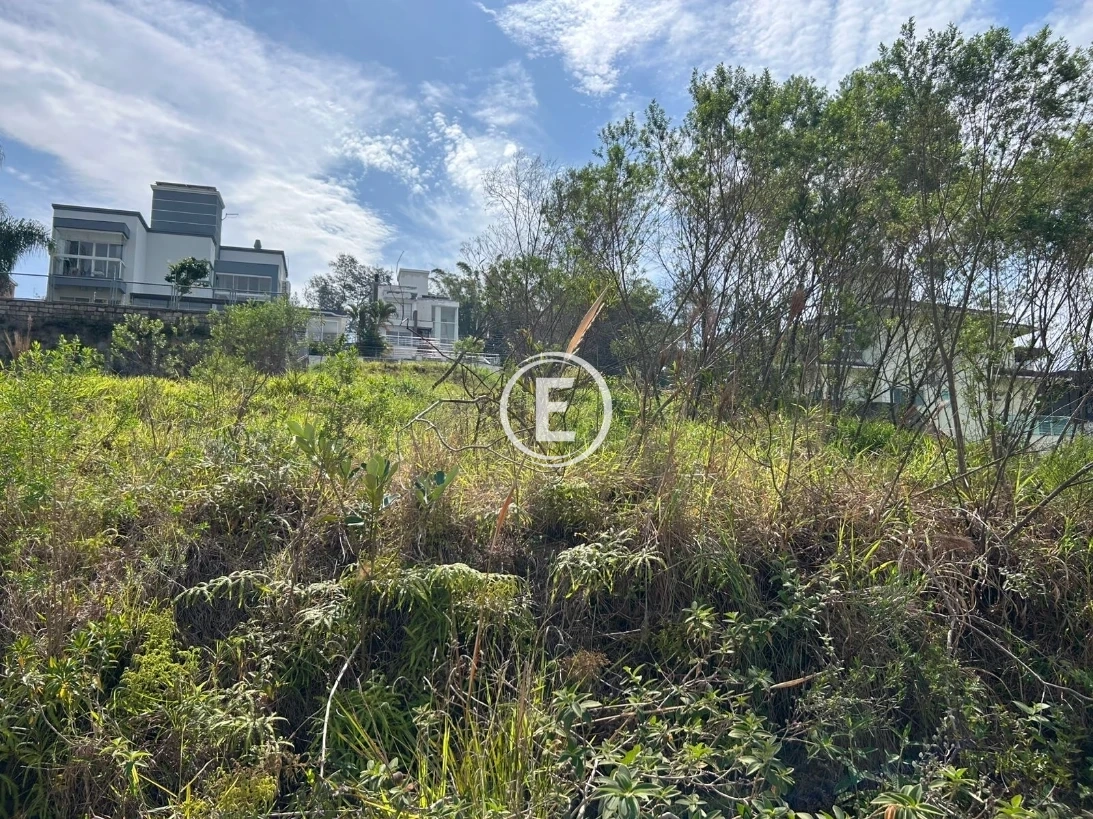 Terreno em Pedra Branca, Palhoça. 0 quartos, 0m². Imagem 3 de 5