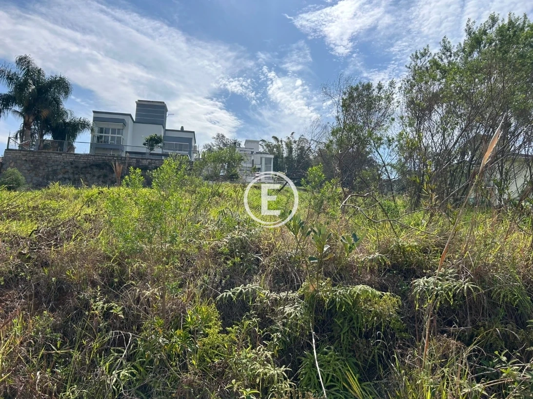 Terreno em Pedra Branca, Palhoça. 0 quartos, 0m². Imagem 4 de 5