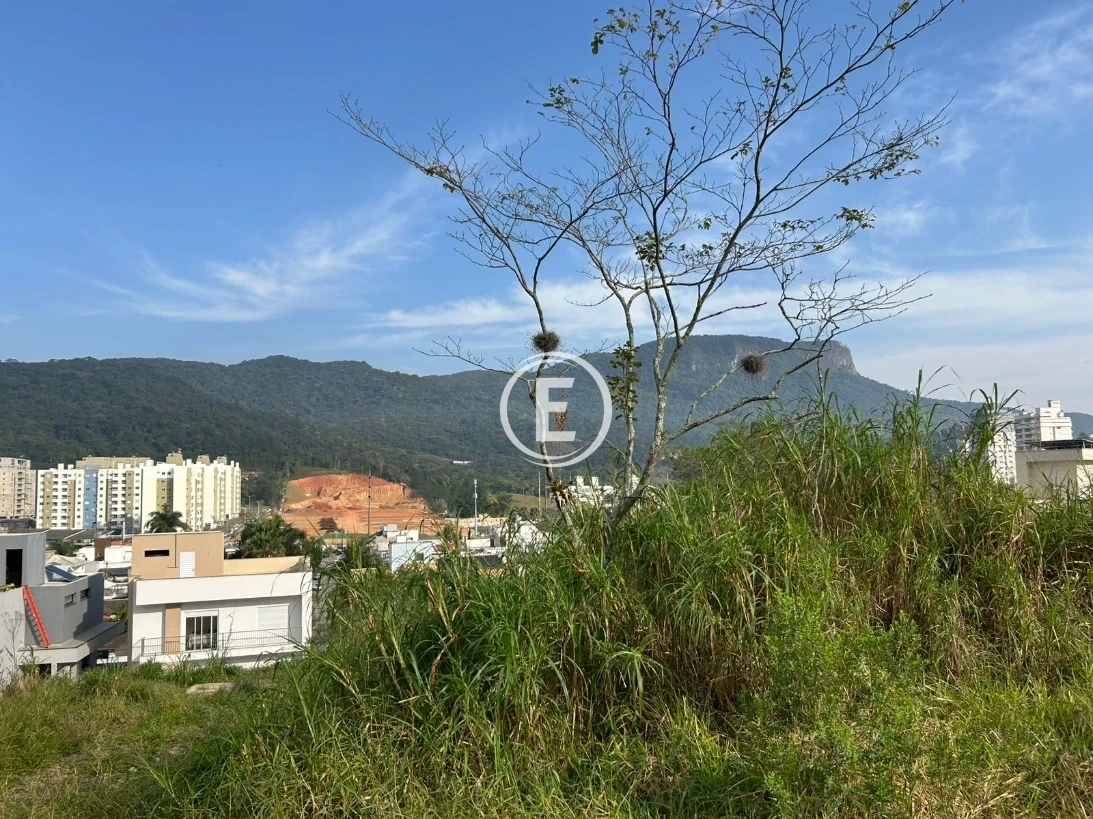 Terreno em Pedra Branca, Palhoça. 0 quartos, 0m². Imagem 1 de 3