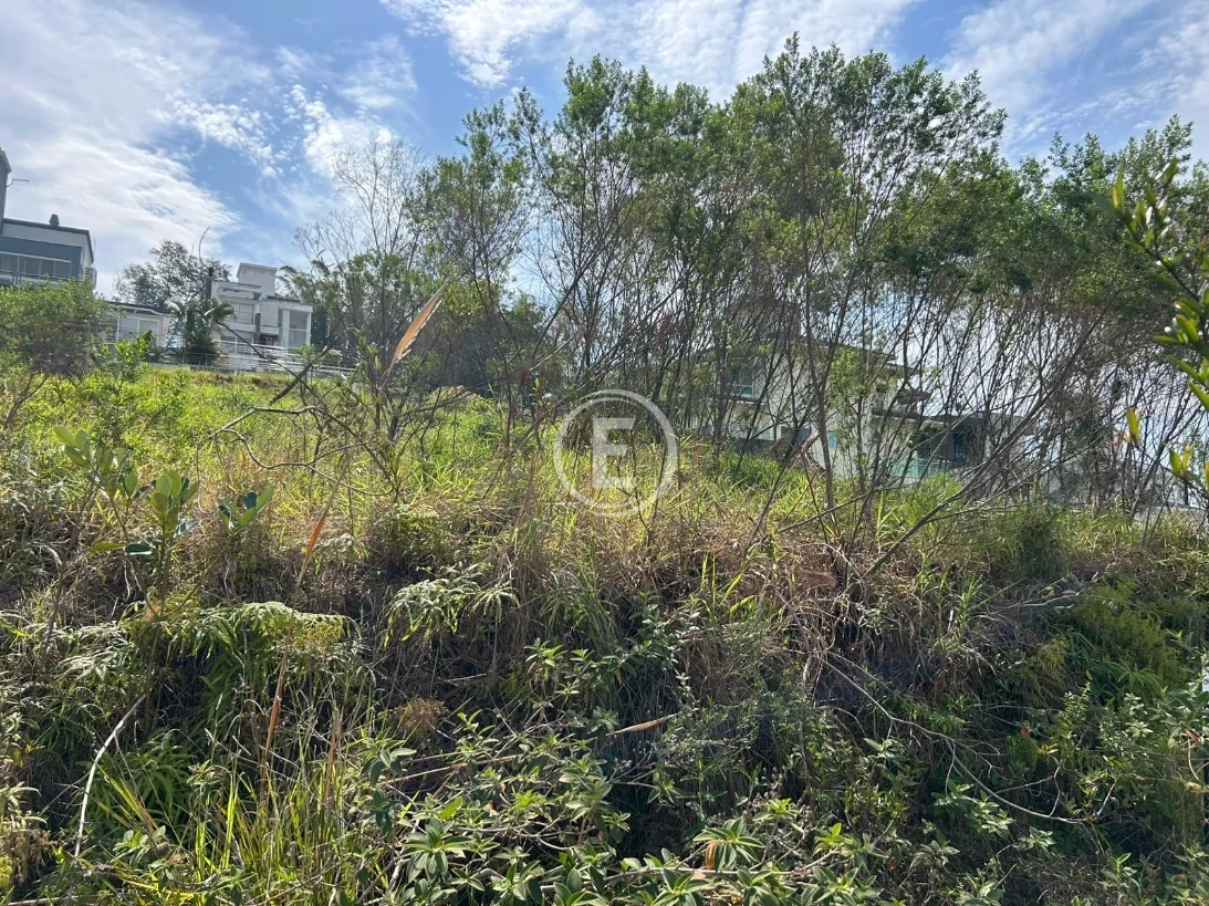 Terreno em Pedra Branca, Palhoça. 0 quartos, 450m². Imagem 2 de 4