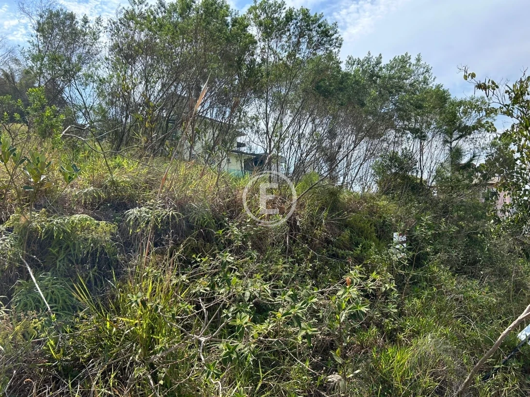 Terreno em Pedra Branca, Palhoça. 0 quartos, 450m². Imagem 3 de 4