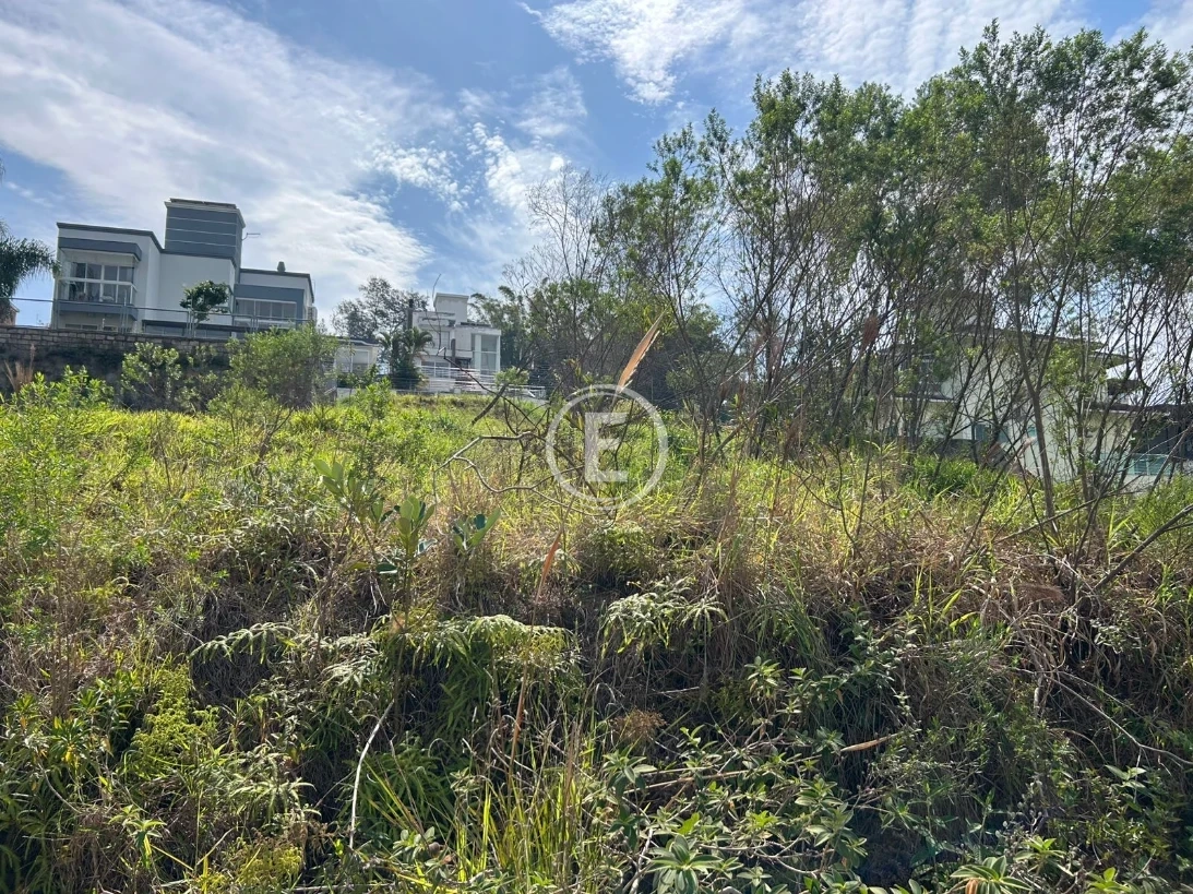 Terreno em Pedra Branca, Palhoça. 0 quartos, 450m². Imagem 2 de 3