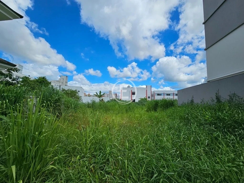 Terreno em Pagani, Palhoça. 0 quartos, 0m². Imagem 2 de 12