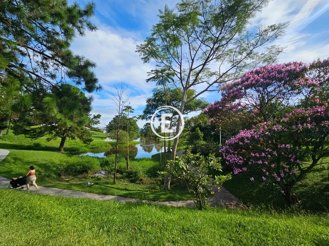 Terreno em Pedra Branca, Palhoça. 0 quartos, 0m². Imagem 22 de 24