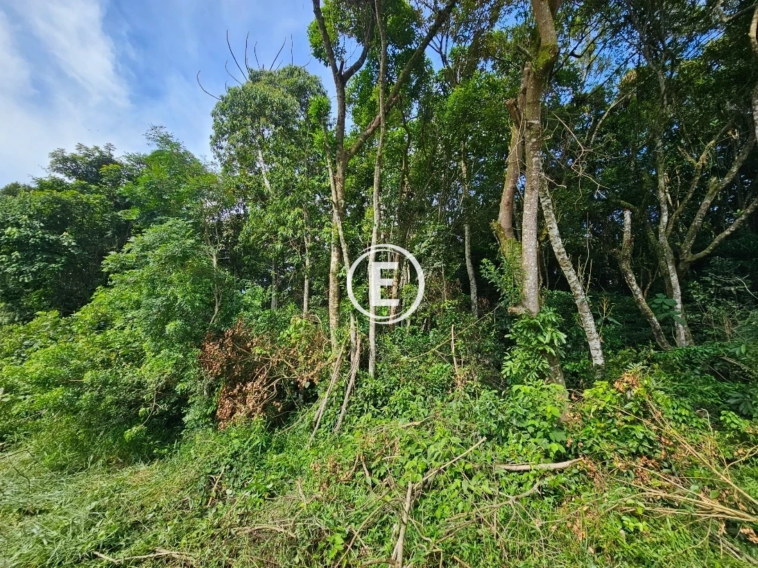 Terreno em Pedra Branca, Palhoça. 0 quartos, 0m². Imagem 13 de 24