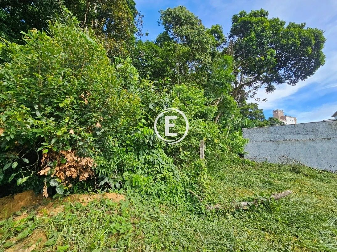 Terreno em Pedra Branca, Palhoça. 0 quartos, 0m². Imagem 14 de 24