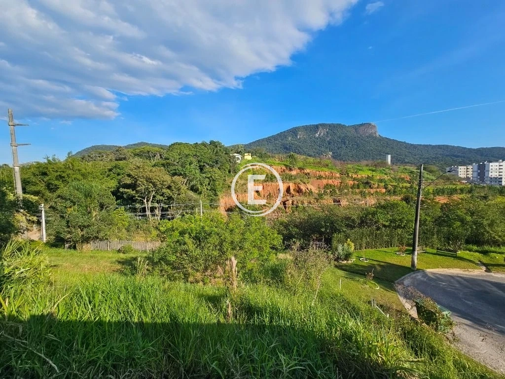 Terreno em Pedra Branca, Palhoça. 0 quartos, 369m². Imagem 11 de 31