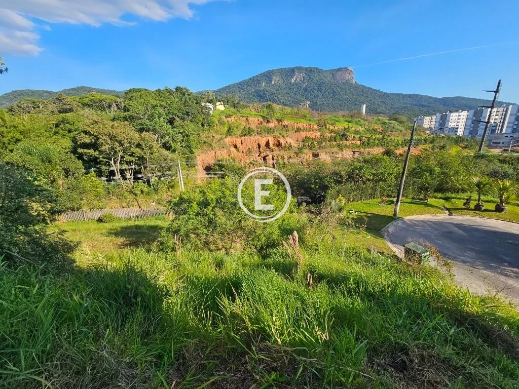 Terreno em Pedra Branca, Palhoça. 0 quartos, 369m². Imagem 12 de 31