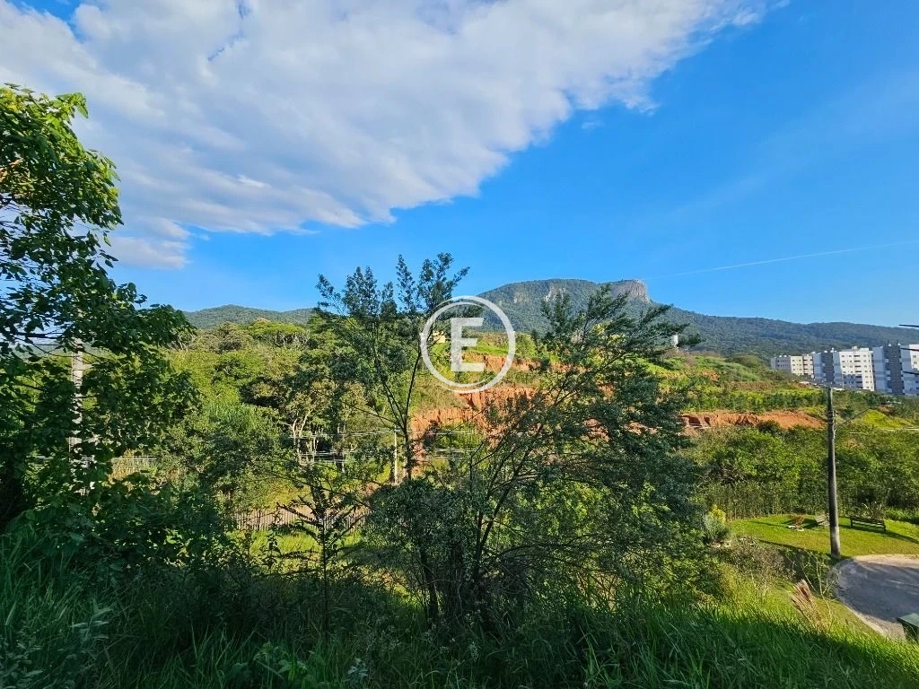 Terreno em Pedra Branca, Palhoça. 0 quartos, 369m². Imagem 13 de 31