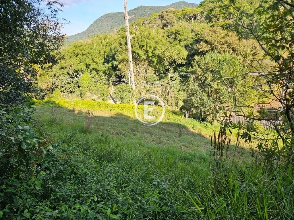 Terreno em Pedra Branca, Palhoça. 0 quartos, 369m². Imagem 25 de 31