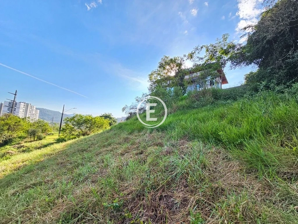 Terreno em Pedra Branca, Palhoça. 0 quartos, 369m². Imagem 7 de 31