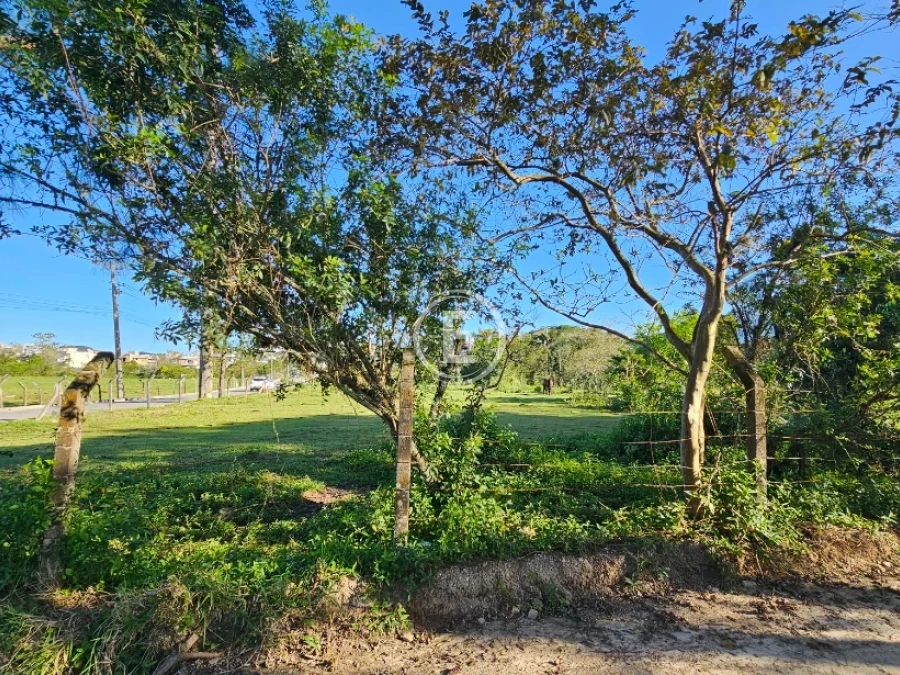 Terreno em Sertão do Maruim, São José. 0 quartos, 0m². Imagem 18 de 28