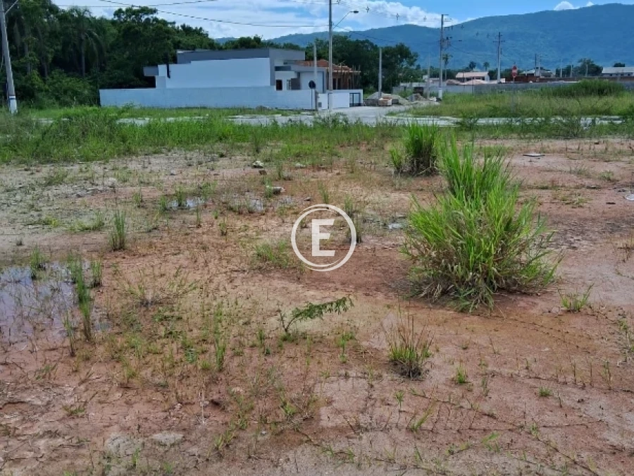Terreno em Forquilhas, São José. 0 quartos, 0m². Imagem 3 de 7