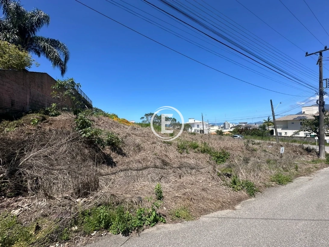 Terreno em Pedra Branca, Palhoça. 0 quartos, 0m². Imagem 1 de 5