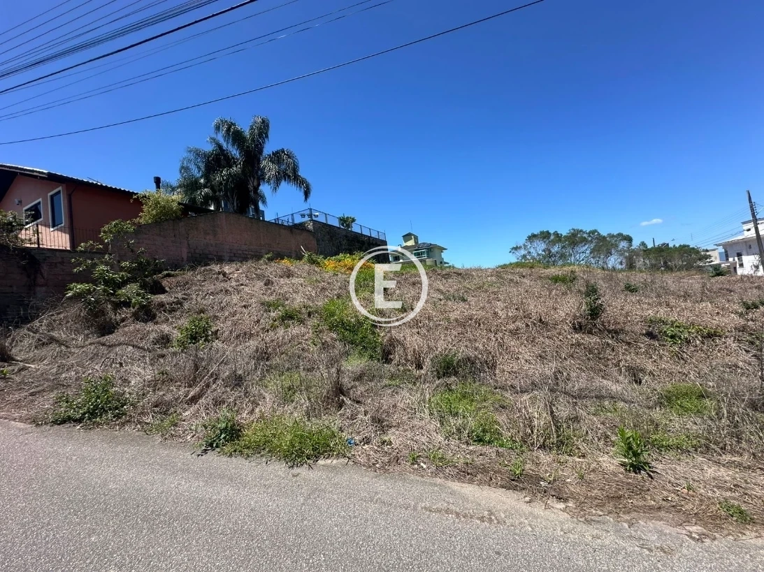 Terreno em Pedra Branca, Palhoça. 0 quartos, 0m². Imagem 4 de 5