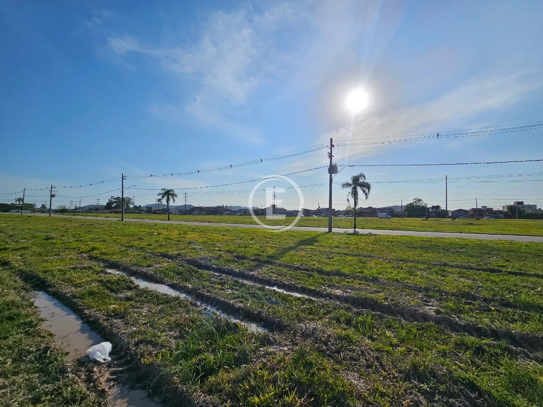 Terreno em Sertão do Maruim, São José. 0 quartos, 0m². Imagem 17 de 24
