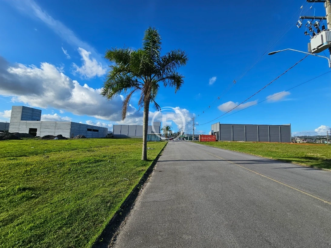 Terreno em Sertão do Maruim, São José. 0 quartos, 0m². Imagem 4 de 19