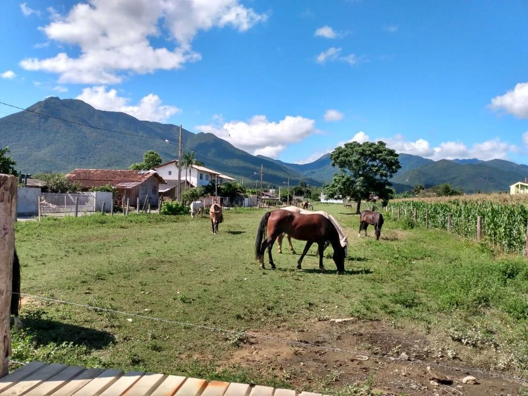 Terreno em Guarda do Cubatão, Palhoça. 0 quartos, 360m². Imagem 3 de 4