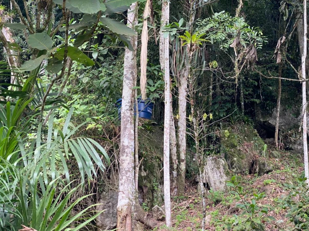 Sítio em Calemba, Santo Amaro da Imperatriz. 2 quartos, 190m². Imagem 1 de 21