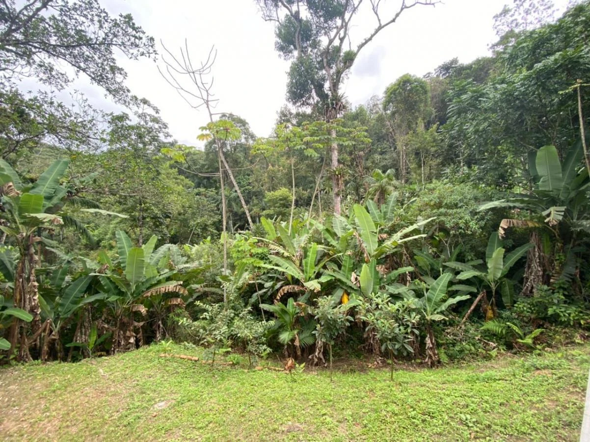Sítio em Calemba, Santo Amaro da Imperatriz. 2 quartos, 190m². Imagem 16 de 21