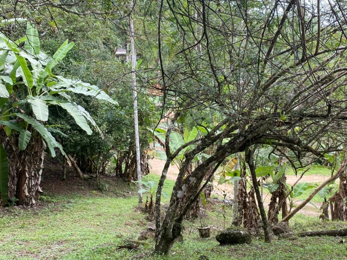 Sítio em Calemba, Santo Amaro da Imperatriz. 2 quartos, 190m². Imagem 19 de 21