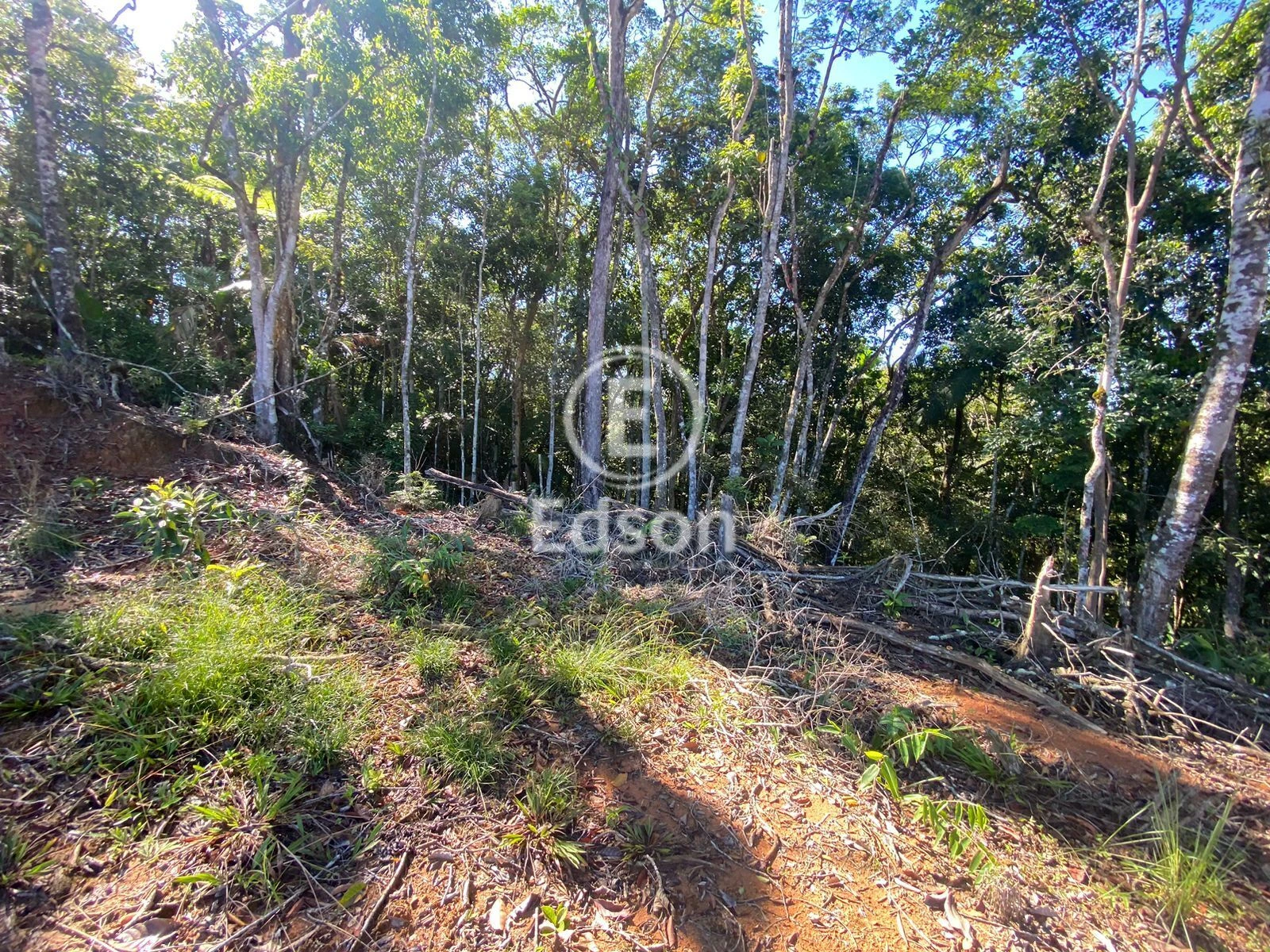 Sítio em Centro, São Pedro de Alcântara. 0 quartos, 6360m². Imagem 3 de 9