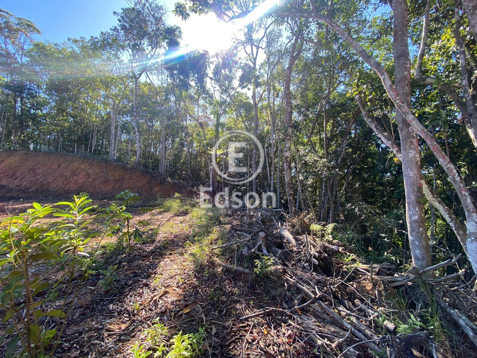 Sítio em Centro, São Pedro de Alcântara. 0 quartos, 6360m². Imagem 7 de 9