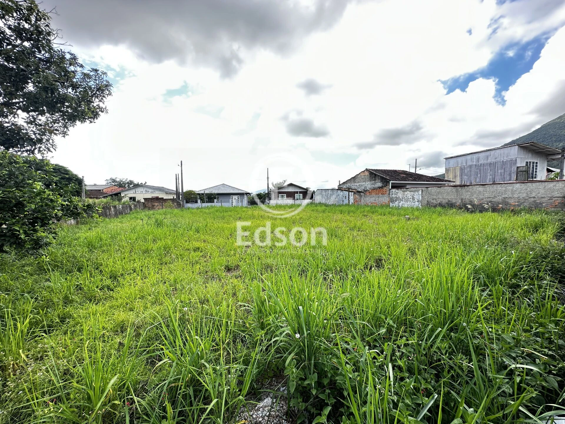 Terreno em Guarda do Cubatão, Palhoça. 0 quartos, 677m². Imagem 4 de 5