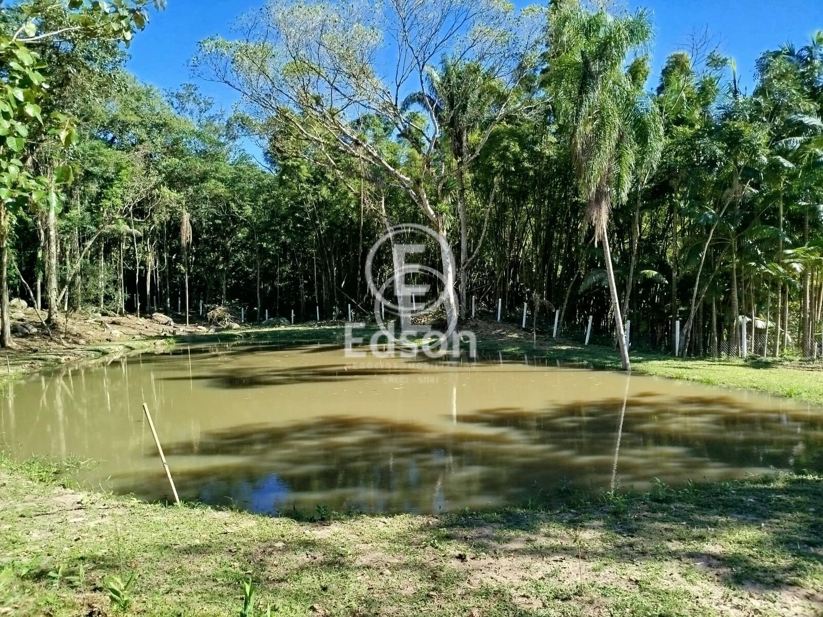 Sítio em Santo Amaro da Imperatriz, Santo Amaro da Imperatriz. 2 quartos, 60000m². Imagem 4 de 8