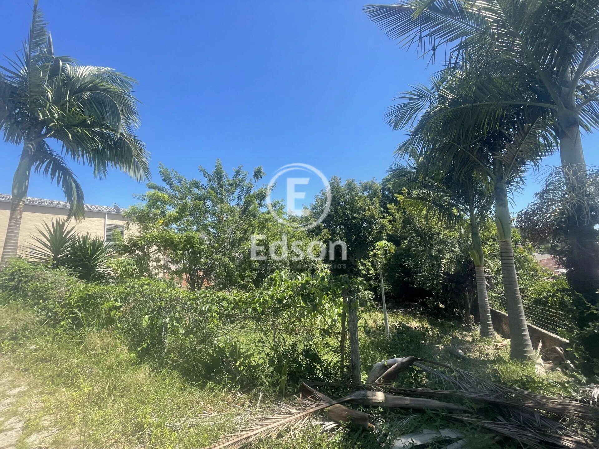 Terreno em Pagani, Palhoça. 0 quartos, 371m². Imagem 1 de 2