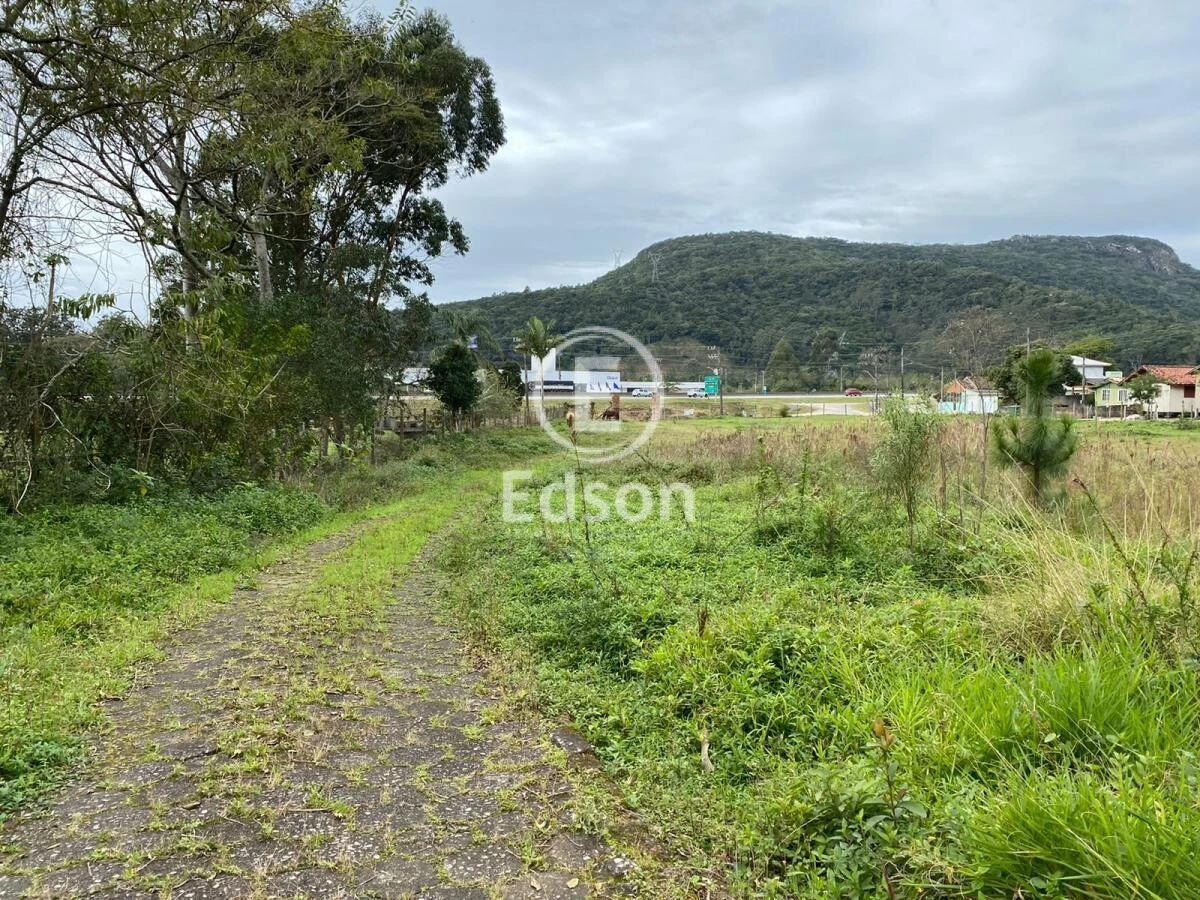 Terreno em Praia de Fora, Palhoça. 0 quartos, 54346m². Imagem 5 de 12